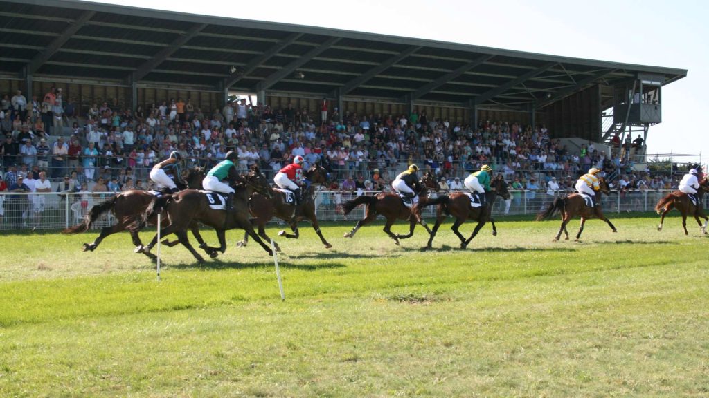 Course hippique trot attelé Hippodrome Bréhal Normandie