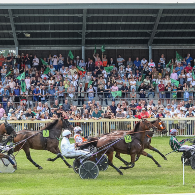 Course hippique trot attelé Hippodrome Bréhal Normandie